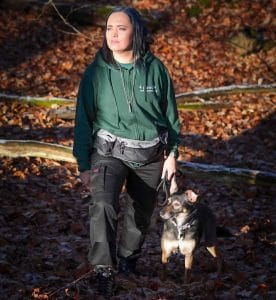 Dog Training Stamford