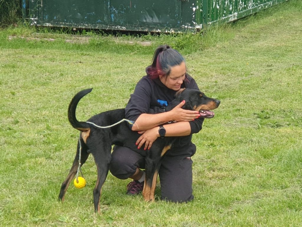 Dog Training Stamford